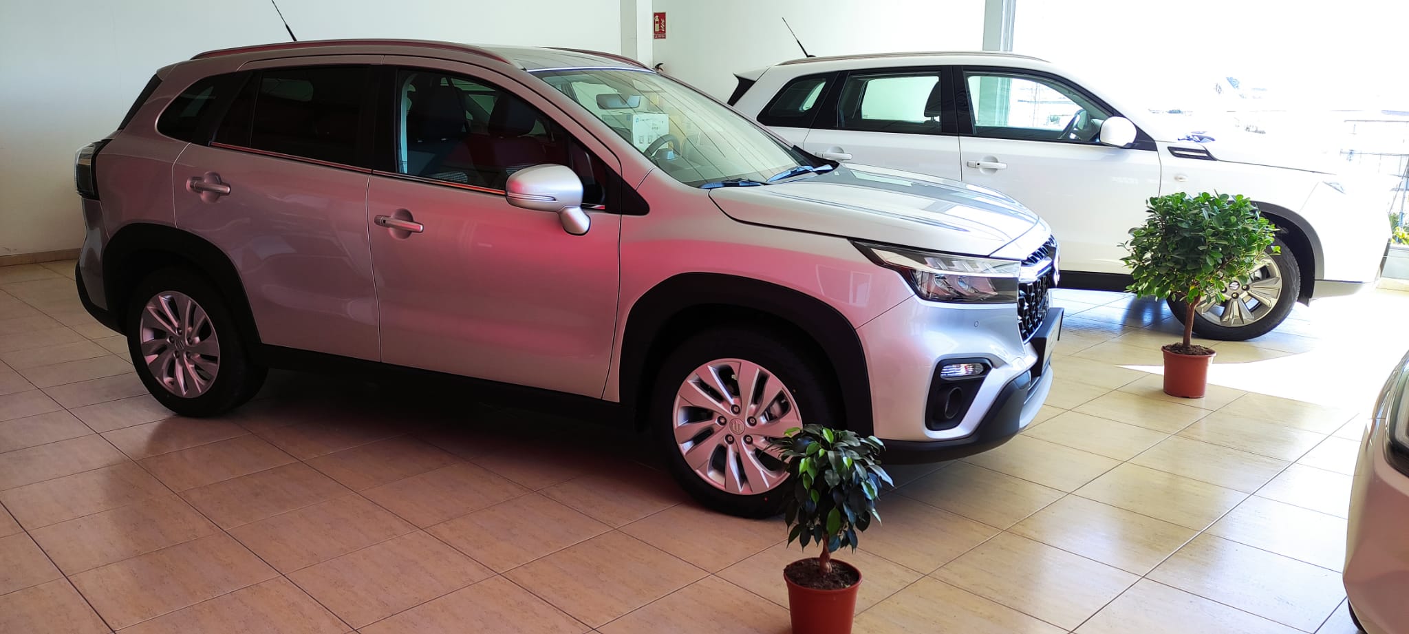 Suzuki S-Cross y Vitara en la exposición de Juan Funes